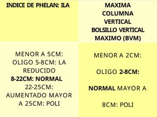 Phelan Normal Valoracion LA, Placenta y CU.pptx porjapoiadsfadsf | PPTX