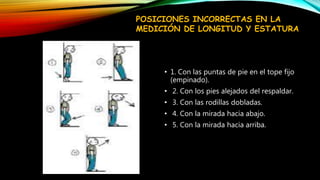 • 1. Con las puntas de pie en el tope fijo
(empinado).
• 2. Con los pies alejados del respaldar.
• 3. Con las rodillas dobladas.
• 4. Con la mirada hacia abajo.
• 5. Con la mirada hacia arriba.
POSICIONES INCORRECTAS EN LA
MEDICIÓN DE LONGITUD Y ESTATURA
 