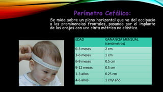 Perímetro Cefálico:
Se mide sobre un plano horizontal que va del occipucio
a las prominencias frontales, pasando por el implante
de las orejas con una cinta métrica no elástica.
EDAD GANANCIA MENSUAL
(centímetros)
0-3 meses 2 cm
3-6 meses 1 cm
6-9 meses 0.5 cm
9-12 meses 0.5 cm
1-3 años 0.25 cm
4-6 años 1 cm/ año
 