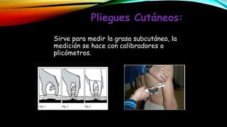 Pliegues Cutáneos:
Sirve para medir la grasa subcutánea, la
medición se hace con calibradores o
plicómetros.
 
