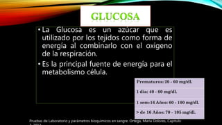 • La Glucosa es un azúcar que es
utilizado por los tejidos como forma de
energía al combinarlo con el oxígeno
de la respiración.
• Es la principal fuente de energía para el
metabolismo célula.
Pruebas de Laboratorio y parámetros bioquímicos en sangre. Ortega, María Dolores, Capitulo
 