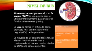 RN= 3-12 mg/dl.
Lactantes y niños= 7-18
mg/dl.
Valores de BUN en el Niño ;
9mg/dl.
El examen de nitrógeno ureico en la
sangre (BUN) es una prueba que se
utiliza primordialmente para evaluar el
funcionamiento renal (riñón).
La urea se forma en el hígado como
producto final del metabolismo (o
degradación) de las proteínas.
La mayoría de las enfermedades renales
afectan la excreción de urea y
creatinina de tal manera que los niveles
de BUN en la sangre aumentan
 
