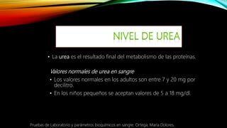 • La urea es el resultado final del metabolismo de las proteínas.
Valores normales de urea en sangre
• Los valores normales en los adultos son entre 7 y 20 mg por
decilitro.
• En los niños pequeños se aceptan valores de 5 a 18 mg/dl.
Pruebas de Laboratorio y parámetros bioquímicos en sangre. Ortega, María Dolores,
 