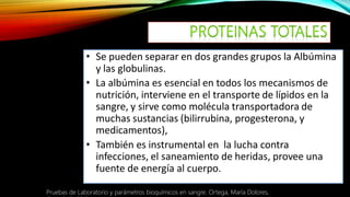 Pruebas de Laboratorio y parámetros bioquímicos en sangre. Ortega, María Dolores,
 