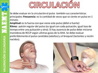 Se debe evaluar en la circulación el pulso también sus características
principales: Frecuencia: es la cantidad de veces que se siente en pulso en 1
minuto.
Amplitud: es la fuerza con que viene este pulso (débil o fuerte)
Ritmo: patrón regular del pulso (es igual con cada pulsación, igual lazo de
tiempo entre una pulsación y otra). Si hay ausencia de pulso debe iniciarse
maniobras de RCCP según ultimas guías de la AHA. Se debe evaluar
preferiblemente el pulso carotideo (adultos) y el braquial (lactantes y recién
nacidos).
VALORACIÓNSECUNDARIA
 