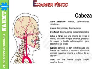 VALORACIÓNSECUNDARIA
 