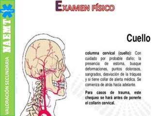 VALORACIÓNSECUNDARIA
 