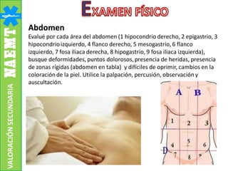 Abdomen
Evalué por cada área del abdomen (1 hipocondrio derecho, 2 epigastrio, 3
hipocondrio izquierdo, 4 flanco derecho, 5 mesogastrio, 6 flanco
izquierdo, 7 fosa iliaca derecha, 8 hipogastrio, 9 fosa iliaca izquierda),
busque deformidades, puntos dolorosos,presencia de heridas, presencia
de zonas rígidas (abdomen en tabla) y difíciles de oprimir, cambios en la
coloración de la piel. Utilice la palpación, percusión, observación y
auscultación.
VALORACIÓNSECUNDARIA
 