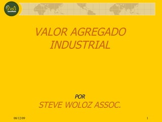 VALOR AGREGADO INDUSTRIAL POR STEVE WOLOZ ASSOC. 08/06/09 