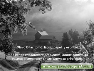 Olavo Bilac tomó  lápiz,  papel  y escribió : “  Se vende encantadora propiedad , donde cantan los pájaros al amanecer en las extensas arboledas .  