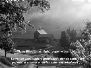 Olavo Bilac tomó  lápiz,  papel  y escribió : “  Se vende encantadora propiedad , donde cantan los pájaros al amanecer en las extensas arboledas .  