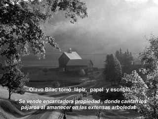Olavo Bilac tomó  lápiz,  papel  y escribió : “  Se vende encantadora propiedad , donde cantan los pájaros al amanecer en las extensas arboledas .  