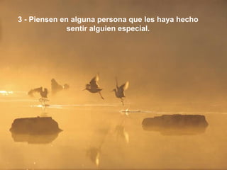 3 - Piensen en alguna persona que les haya hecho
              sentir alguien especial.
 