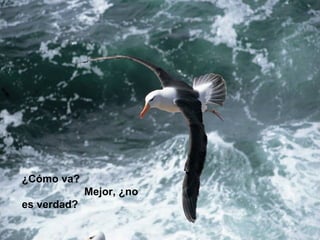 ¿Cómo va?
             Mejor, ¿no
es verdad?
 