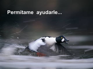 Permítame ayudarle...
 