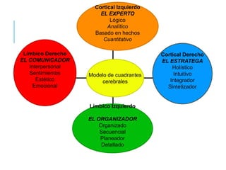 Límbico Derecho
EL COMUNICADOR
Interpersonal
Sentimientos
Estético
Emocional
Límbico Izquierdo
EL ORGANIZADOR
Organizado
Secuencial
Planeador
Detallado
Cortical Derecho
EL ESTRATEGA
Holístico
Intuitivo
Integrador
Sintetizador
Cortical Izquierdo
EL EXPERTO
Lógico
Analítico
Basado en hechos
Cuantitativo
Modelo de cuadrantes
cerebrales
 