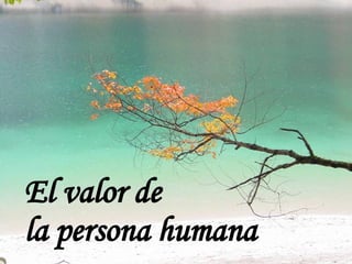 El valor de  la persona humana 