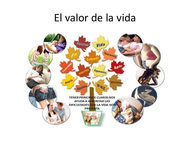 Valor de la vida