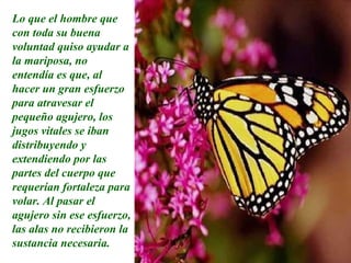 Lo que el hombre que con toda su buena voluntad quiso ayudar a la mariposa, no entendía es que, al hacer un gran esfuerzo para atravesar el pequeño agujero, los jugos vitales se iban distribuyendo y extendiendo por las partes del cuerpo que requerían fortaleza para volar. Al pasar el agujero sin ese esfuerzo, las alas no recibieron la sustancia necesaria. 