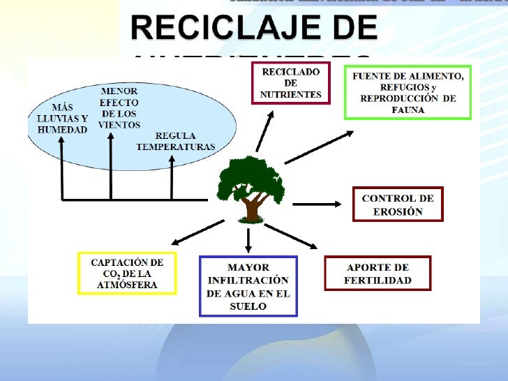 Valor De Uso Indirecto