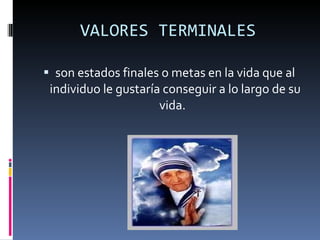 VALORES TERMINALES son estados finales o metas en la vida que al individuo le gustaría conseguir a lo largo de su vida.   