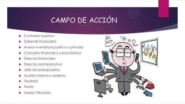 contador publico