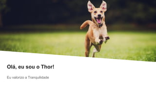 Olá, eu sou o Thor!
Eu valorizo a Tranquilidade
 