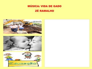 MÚSICA: VIDA DE GADO ZÉ RAMALHO 