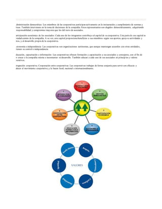 2. Administración democrática: Los miembros de las cooperativas participan activamente en la instauración y cumplimiento de normas y
políticas. También intervienen en la toma de decisiones de la compañía. Estos representantes son elegidos democráticamente, adquiriendo
una responsabilidad y compromiso mayores que los del resto de asociados.
3. Participación económica de los asociados: Cada uno de los integrantes contribuye al capital de su cooperativa. Una partede ese capital es
propiedad común de la compañía. A su vez, este capital proporcionabeneficios a sus miembros según sus aportes, apoyo a actividades y
eventos, y al desarrollo propio de la cooperativa.
4. Autonomía e independencia: Las cooperativas son organizaciones autónomas, que aunque mantengan acuerdos con otras entidades,
mantienen su control e independencia.
5. Educación, capacitación e información: Las cooperativas ofrecen formación y capacitación a sus asociados y consejeros, con el fin de
hacer crecer a la compañía misma e incrementar su desarrollo. También educan a cada uno de sus asociados en princip ios y valores
cooperativos.
6. Integración cooperativa. Cooperación entre cooperativas: Las cooperativas trabajan de forma conjunta para servir con eficacia y
fortalecer el movimiento cooperativo, y lo hacen local, nacional e internacionalmente.
 