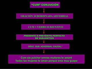 “CUM” CONJUCIÓN

ORACIÓN SUBORDINADA ADVERBIAL

CUM + VERBO SUBJUNTIVO
PRESENTE O PRETÉRITO PERFECTO
DE SUBJUNTIVO

ORAC .SUB. ADVERBIAL CAUSAL”

Cum sis pulcher omnes mulieres te amant
Todas las mujeres te aman porque eres muy guapo

 