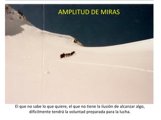 AMPLITUD DE MIRAS El que no sabe lo que quiere, el que no tiene la ilusión de alcanzar algo, difícilmente tendrá la voluntad preparada para la lucha. 