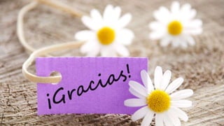 Valores mas importantes en la educacion