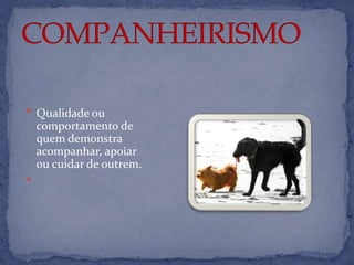  Qualidade ou
    comportamento de
    quem demonstra
    acompanhar, apoiar
    ou cuidar de outrem.

 