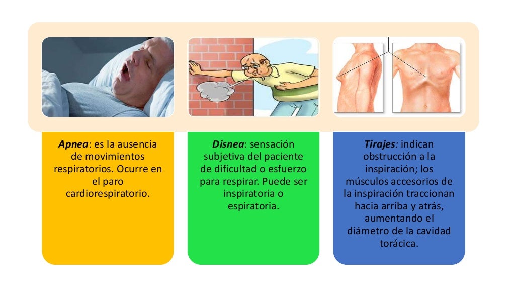 Valores Normales De Frecuencia Respiratoria