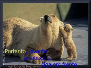 Portanto , levante  a cabeça e siga em frente... 