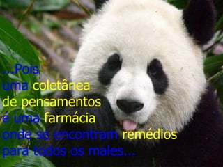 ...Pois  uma  coletânea  de pensamentos   é uma  farmácia  onde se encontram  remédios   para todos os males... 