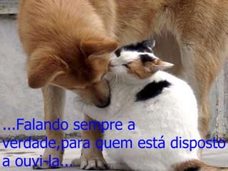 ...Falando sempre a verdade,para quem está disposto a ouvi-la... 