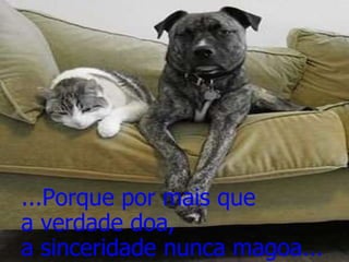 ...Porque por mais que  a verdade doa,  a sinceridade nunca magoa...  