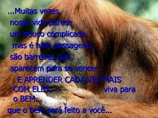 ...Muitas vezes, nossa vida parece  um pouco complicada, mas é tudo passageiro,  são barreiras que aparecem para se vencer... E APRENDER CADA VEZ MAIS COM ELES,  viva para o BEM... que o bem será feito a você... 