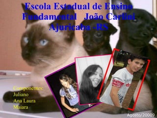 Escola Estadual de Ensino Fundamental  João Carlini Ajuricaba -RS Componentes: Juliano Ana Laura Maiara Agosto/20009 