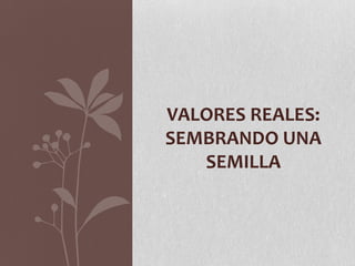 VALORES REALES:
SEMBRANDO UNA
   SEMILLA
 