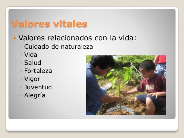 Valores humanos