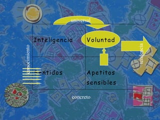universal


I n te lig e n c ia      V o lu n ta d




S e n tid o s            A p e tito s
                         se n sib le s

                  concreto
 