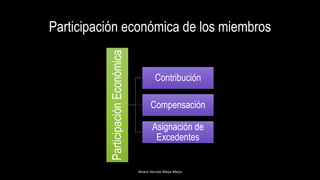 Participación económica de los miembros
ParticipaciónEconómica
Contribución
Compensación
Asignación de
Excedentes
Alvaro Hernán Mejia Mejia
 