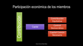 Participación económica de los miembros
Contribución
Capital
Contribución
Equitativa
Control
Democrático
Capital Común
Necesario
Alvaro Hernán Mejia Mejia
 