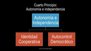Cuarto Principio:
Autonomía e independencia
Autonomía e
Independencia
Identidad
Cooperativa
Autocontrol
Democrático
Alvaro Hernán Mejia Mejia
 