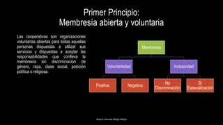 Primer Principio:
Membresía abierta y voluntaria
Las cooperativas son organizaciones
voluntarias abiertas para todas aquellas
personas dispuestas a utilizar sus
servicios y dispuestas a aceptar las
responsabilidades que conlleva la
membresía sin discriminación de
género, raza, clase social, posición
política o religiosa.
Alvaro Hernán Mejia Mejia
Membresía
Voluntariedad
Positiva Negativa
Inclusividad
No
Discriminación
Si
Especialización
 