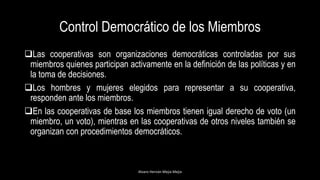 Control Democrático de los Miembros
Las cooperativas son organizaciones democráticas controladas por sus
miembros quienes participan activamente en la definición de las políticas y en
la toma de decisiones.
Los hombres y mujeres elegidos para representar a su cooperativa,
responden ante los miembros.
En las cooperativas de base los miembros tienen igual derecho de voto (un
miembro, un voto), mientras en las cooperativas de otros niveles también se
organizan con procedimientos democráticos.
Alvaro Hernán Mejia Mejia
 