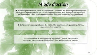 10
>>>>>> Permet de se protéger contre les rayons UV tout de rayonnement
permettant rayonnement visible impliqués dans la photosynthèse traverser
 Certains micro-algues produisent des métabolites organiques, tels que sporopollénine,
scytonemin et mycosporine
 Assemblage biochimique variée de chlorophylle-a contenant des micro-organismes capables
de oxygéner la photosynthèse que l'on trouve principalement dans les organismes aquatiques
environnements à haut niveau de rayonnement ultraviolet observées (UV)rayonnement.
M ode d’action
 