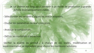 11
 Le chemin est long pour parvenir à un mode de production à grande
échelle économiquement viable.
- Sélectionner les variétés d'algues les mieux adaptées,
- Etudier les paramètres de leur croissance,
- Analyser la composition,
- Définir les modalités d'extraction,
-Vérifier la qualité du produit... à chacun de ces stades, modélisation et
expérimentation se répondent pour choisir les meilleures solutions.
 